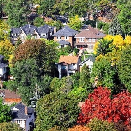 Ailleen Noguer Real Estate