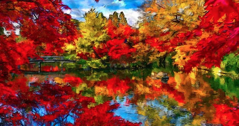 Fall In Canada Aileen Noguer